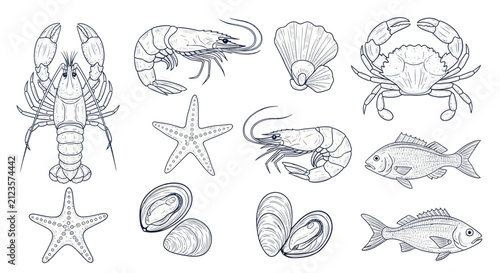 Foto Detailed Line Art Collection of Various Seafood and Marine Life.