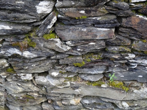 Dry stone wall texture with growing moss