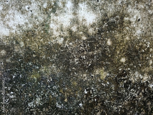 фотографія Mossy wall with damp stains, dirt buildup, and weathered concrete surface caused by prolonged rain exposure, creating a natural grunge texture background