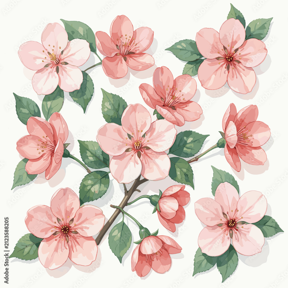 Fototapeta premium Pink Cherry Blossoms on Branch with Green Leaves Illustration
