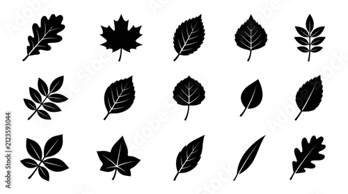 Diverse collection of silhouetted leaves from various tree species.
