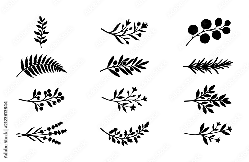 Obraz premium Minimalist Botanical Vector Elements, Delicate Floral Branch Illustrations, Hand-Drawn Leafy Accents, Organic Decorative Sprigs, Black and White Nature Motifs