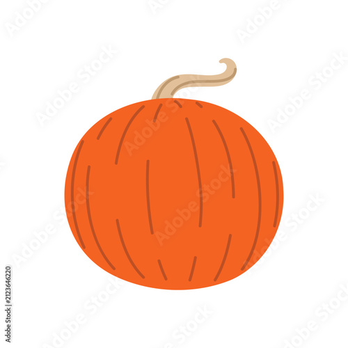 Classic orange pumpkin. Traditional round pumpkin with bright orange skin and natural ribbed texture. Vector 10 EPS.