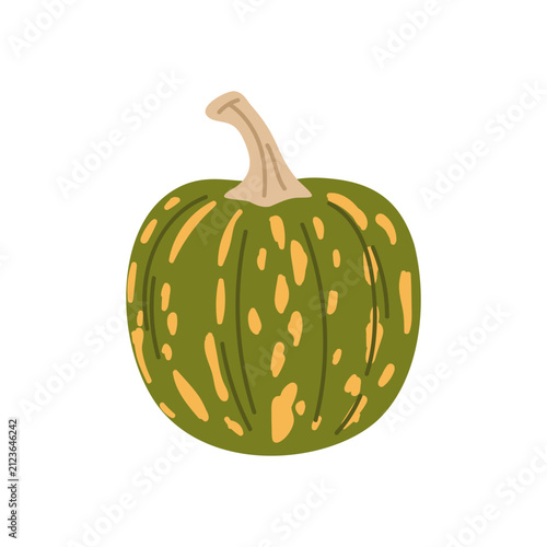 Green striped ornamental pumpkin. Decorative green pumpkin with mottled striped texture and rounded harvest shape. Vector 10 EPS.