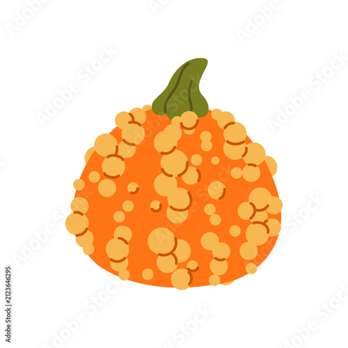 Orange warty ornamental pumpkin. Bright orange ornamental pumpkin covered with textured bumps and wart-like surface details. Vector 10 EPS.