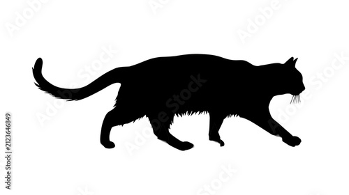 Cuadro en lienzo Black cat silhouette walking, isolated on transparent background