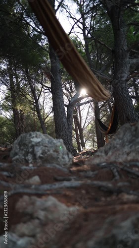Vertical screen Forest hammock camping invites slow travel and digital detox as sunlight filters through tall pine trees creating a peaceful outdoor retreat experience