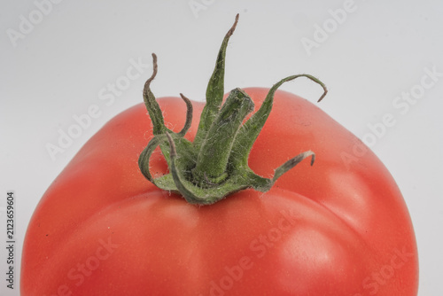 tomato on a white background