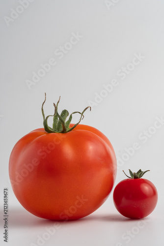 tomatoes on a vine