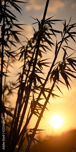 Silhouette of a group of bamboo stalks swaying in the breeze, silhouette, white