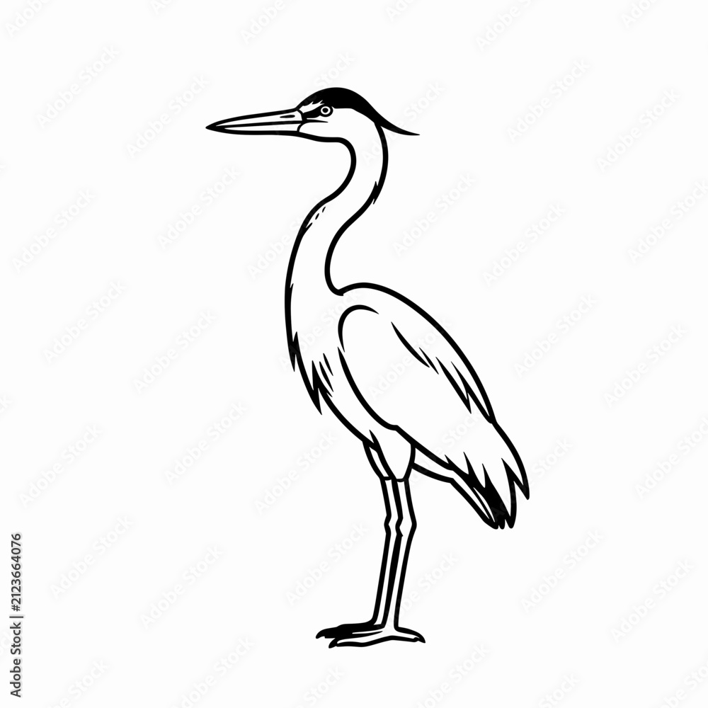 Obraz premium Elegant Heron Standing in Profile Against White Background