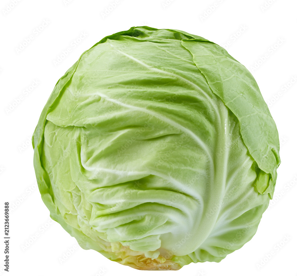 Fototapeta premium Whole fresh green cabbage head isolated on a transparent background