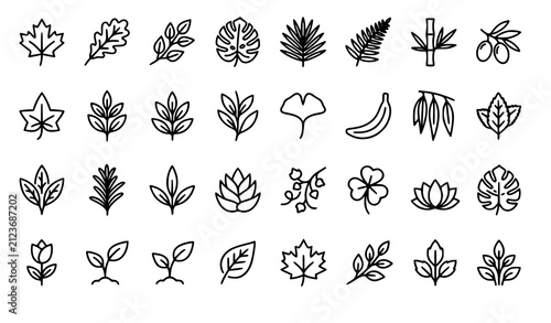 Botanical Leaves Outline Icons Vector EPS10 Collection