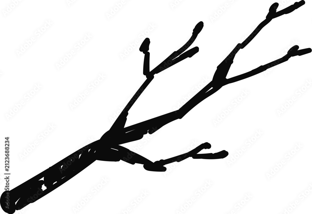 Obraz premium Branch Fallen Stick Silhouette