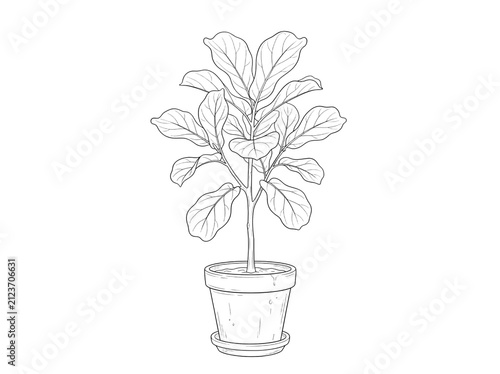 Potted houseplant line drawing. Minimalist sketch of a decorative indoor plant in a pot.