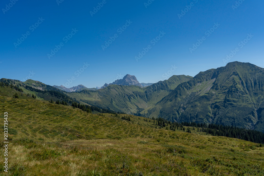 Fototapeta premium A panoramic view from the Falzerkopf mountain in Bregenzerwald, Vorarlberg, revealing rolling green alpine meadows and the prominent peak of the Grosser Widderstein under a clear blue sky