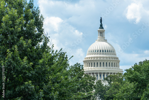 United States Capitol Dome Framed by Green Trees Under Dramatic Cloudy Sky