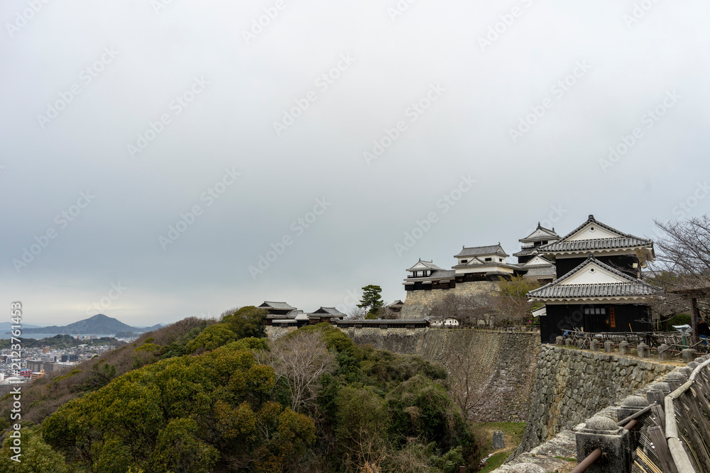 Fototapeta premium Panoramic View of Matsuyama City from Matsuyama Castle, Japan
