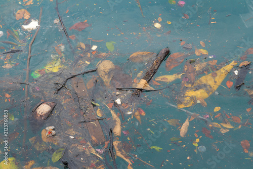 garbage floating in sea water by beach, dirty sea pollution, waste on body of water, concept of sustainability, conservation,  environmental protection