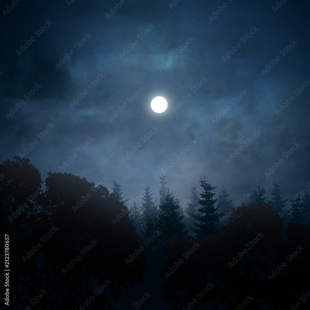 Obraz premium A bright full moon shines through cloudy night skies over a silhouetted pine forest, creating a dark, mysterious atmosphere. Halloween background