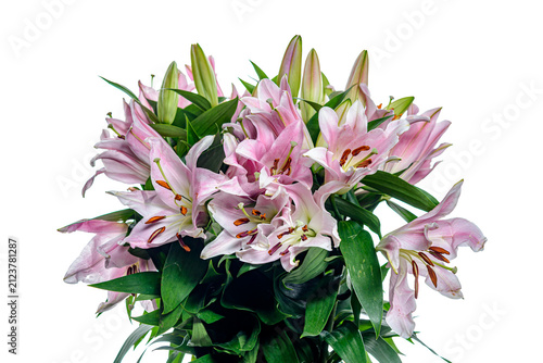bouquet of pink lilies