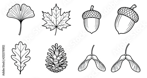 Autumn forest botanical line art collection, 8 black and white nature vector icons, hand drawn oak and maple leaves with acorns and pine cones