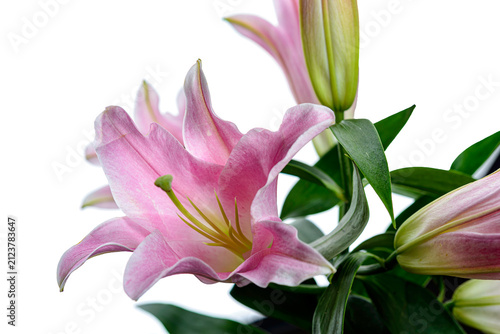 bouquet of pink lilies