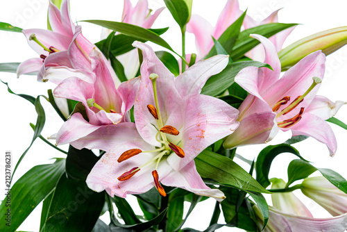 bouquet of pink lilies