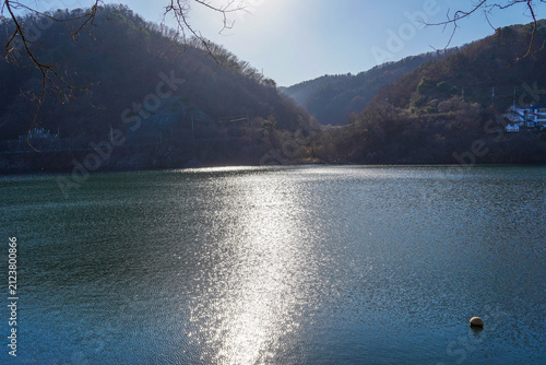 Sunlight Reflection on Water Surface at Lake