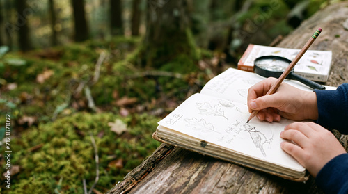 Child Sketching Nature in a Journal in the Forest
