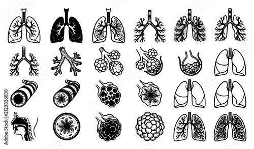 Respiratory System Anatomy Black and White Medical Vector Collection