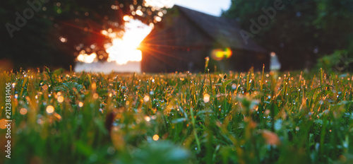 Sunrise in summer, meadow in the morning, abstract close up rural landscape, dreamlike meadow. Close up, sun beams, dew drops, blurred view, wooden building in the distance