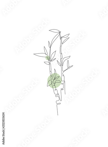 Continuous line drawing of bamboo with green accents. Minimalist concept for spa branding, interior wall decor, pharmacology packaging or apparel prints. Hand drawn vector illustration.