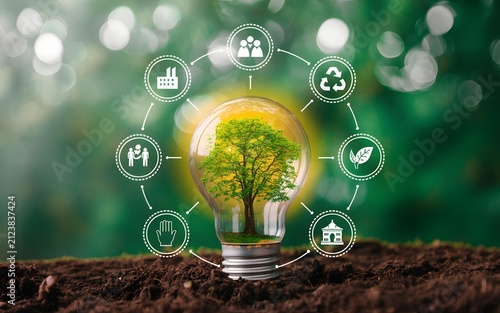 Light bulb with tree inside symbolizing environmental protection and sustainability.