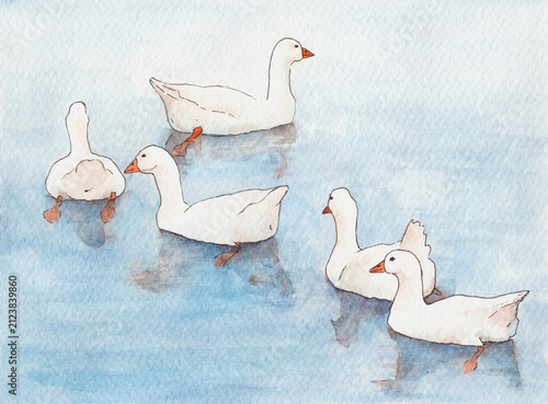 Foto Watercolor illustration of white domestic geese swimming on calm water