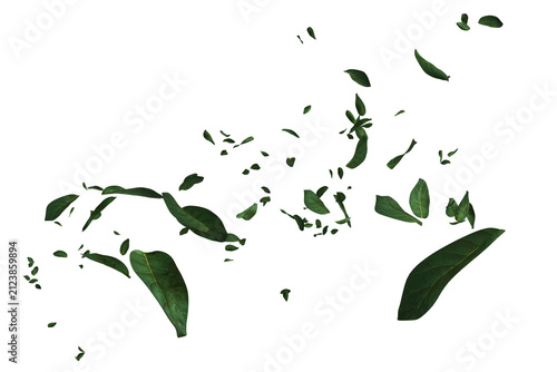 green leaves in various sizes and orientations appears to be falling or floating