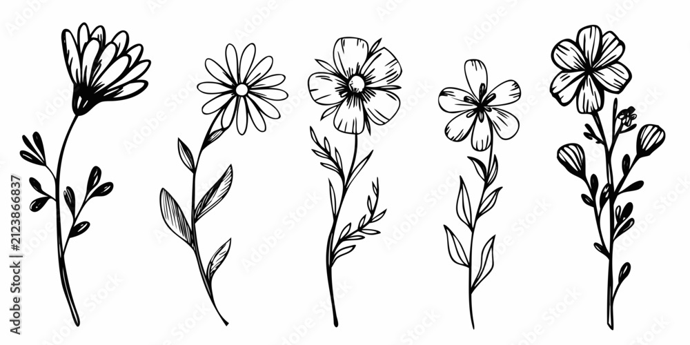 Obraz premium hand drawn wildflowers in black and white line art style flowers botanical hand drawn