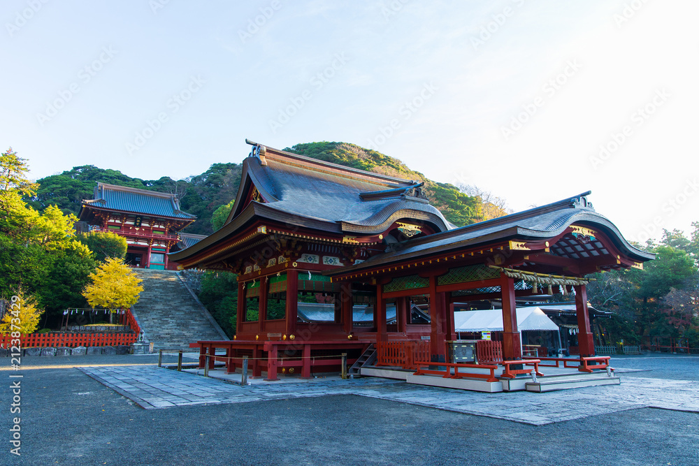 Fototapeta premium 日本の風景・秋 神奈川県鎌倉市 紅葉の鶴岡八幡宮 舞殿