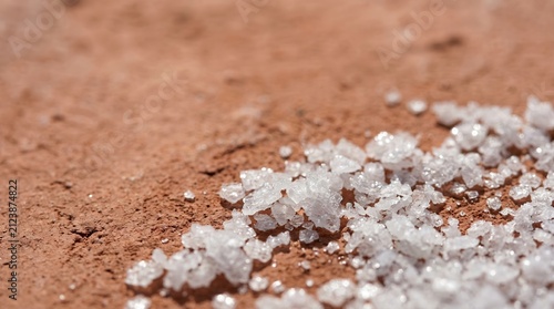 White mineral crystals scattered on dry cracked earth. Concept of soil degradation and global warming for world environment day.