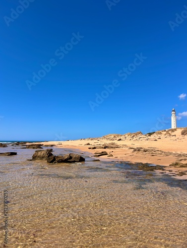 view from the Playa de Mari Sucia beach and dunes to the Faro de Trafalgar lighthouse, Cala del Varadero bay, Zahora, Vejer de la Frontera, Costa de la Luz, Spain