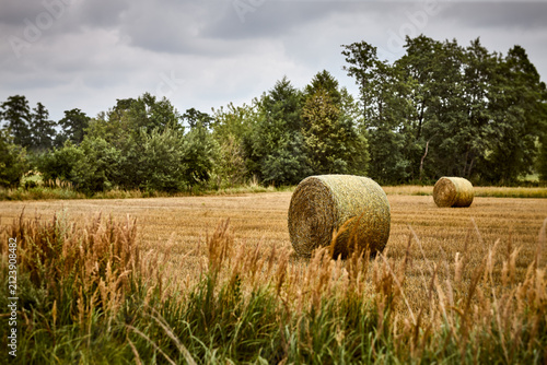 Scenic countryside landscape with round straw bales on a harvested field at late summer
