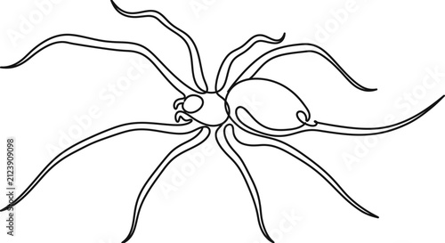 Quadro su tela Minimalist black and white line art spider illustration, elegant arachnid design