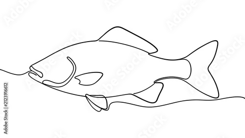 Simple line art fish drawing white background.