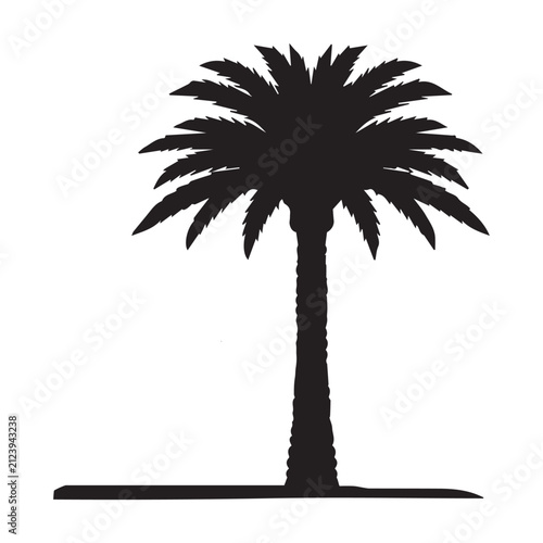 Palm Tree Collection
