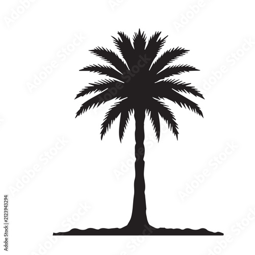 Palm Tree Collection