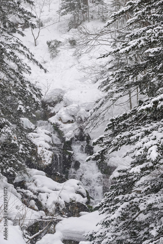 Snowy Forest Gorge And Stream