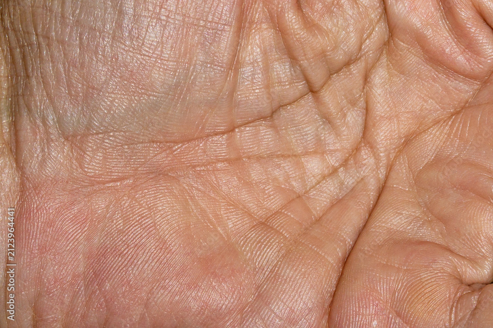 Fototapeta premium Close Up Photograph of Asian Human Palm Showing Natural Skin Texture and Detailed Wrinkle Patterns.
