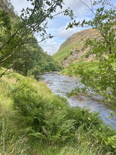 Rushing river flows through verdant valley