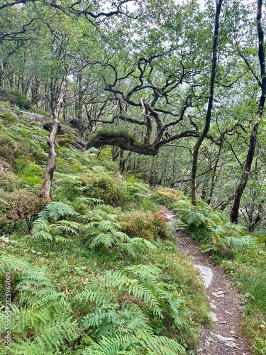 Mossy tree roots cling to earthy slopes