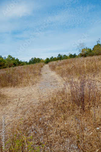 Dirt path winds through golden grasses under clear blue sky
